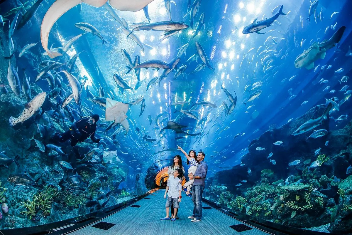 Dubai Aquarium & Underwater Zoo Tickets