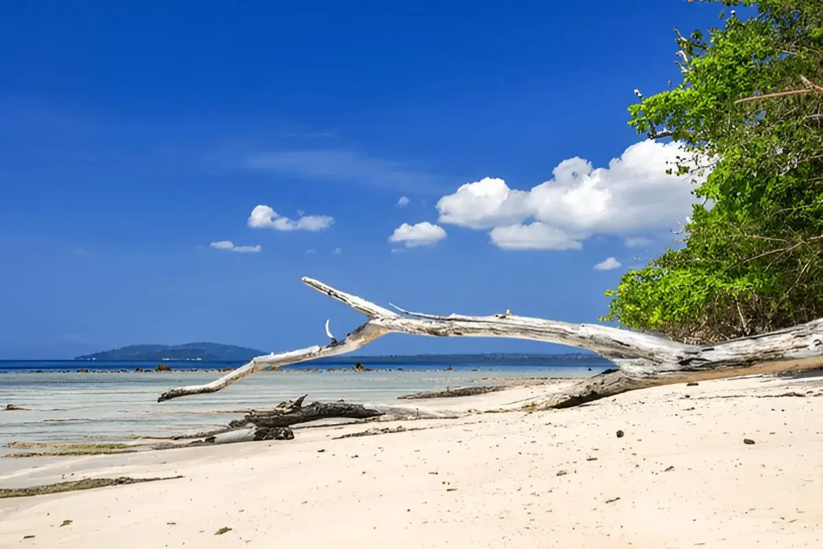 Andaman and Nicobar Islands 5N/6D tour package itinerary