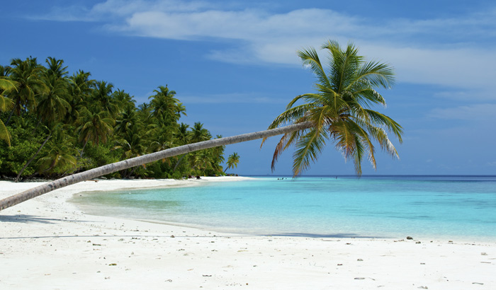Andaman Honeymoon travel highlight 3