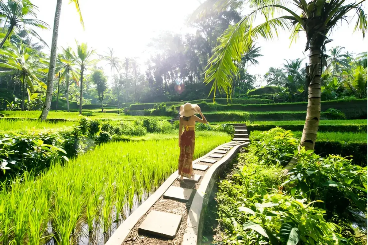 Bali Honeymoon 6N/7D tour package itinerary