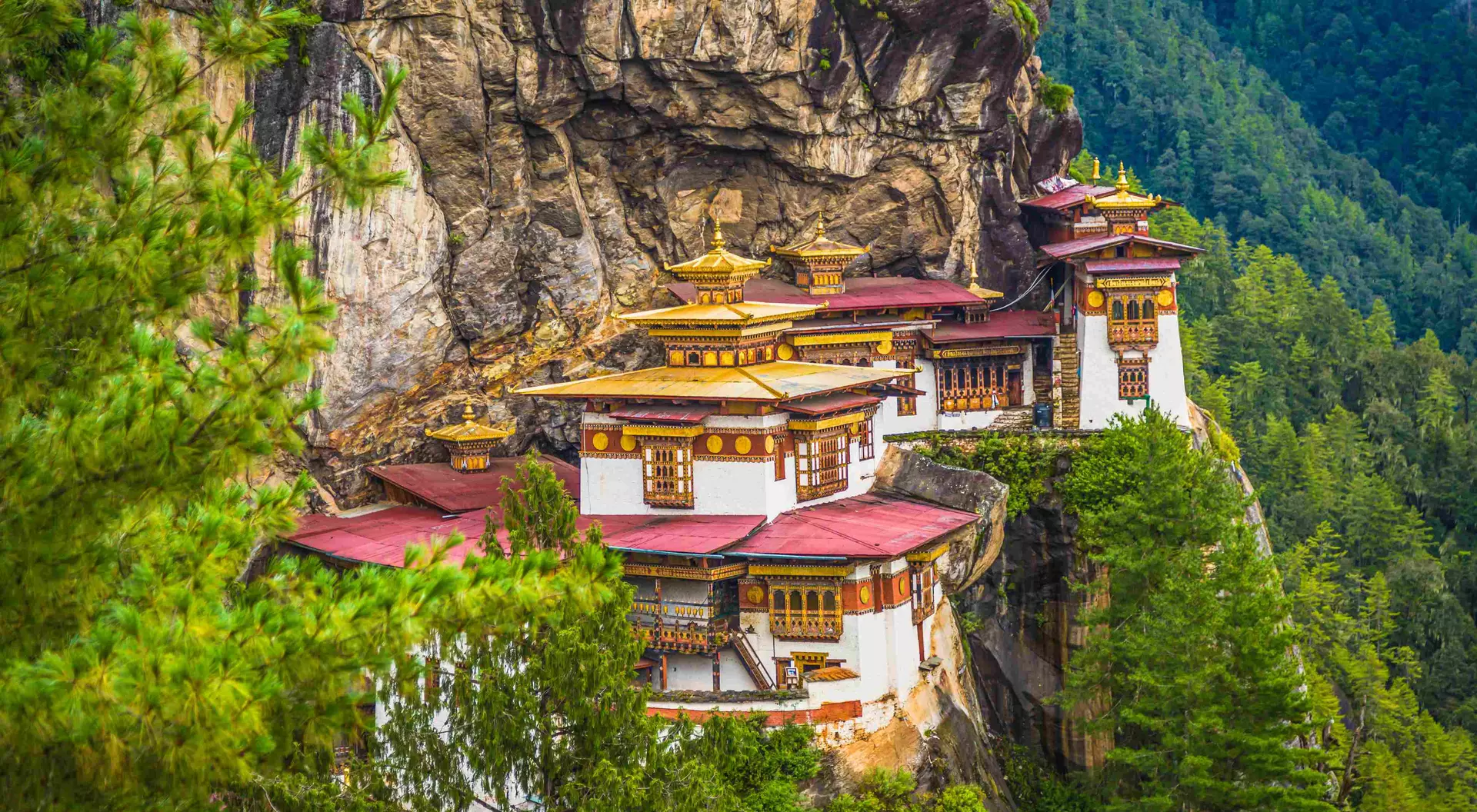 Bhutan travel package image 5