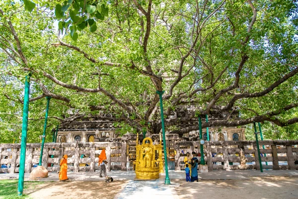 Buddhist Circuit travel highlight 2