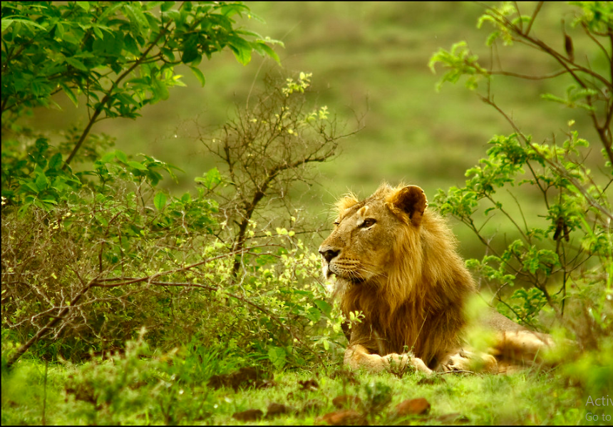 Gujarat travel highlight 5