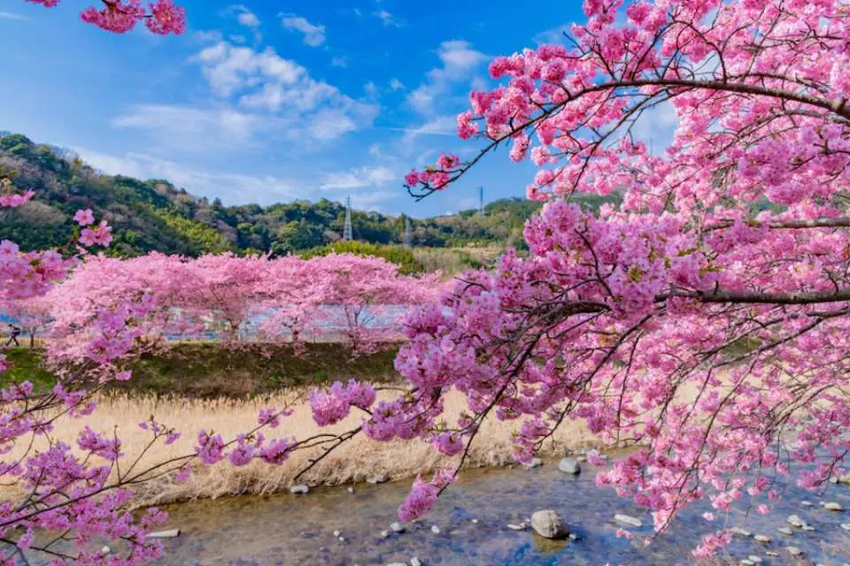 Japan travel highlight 3