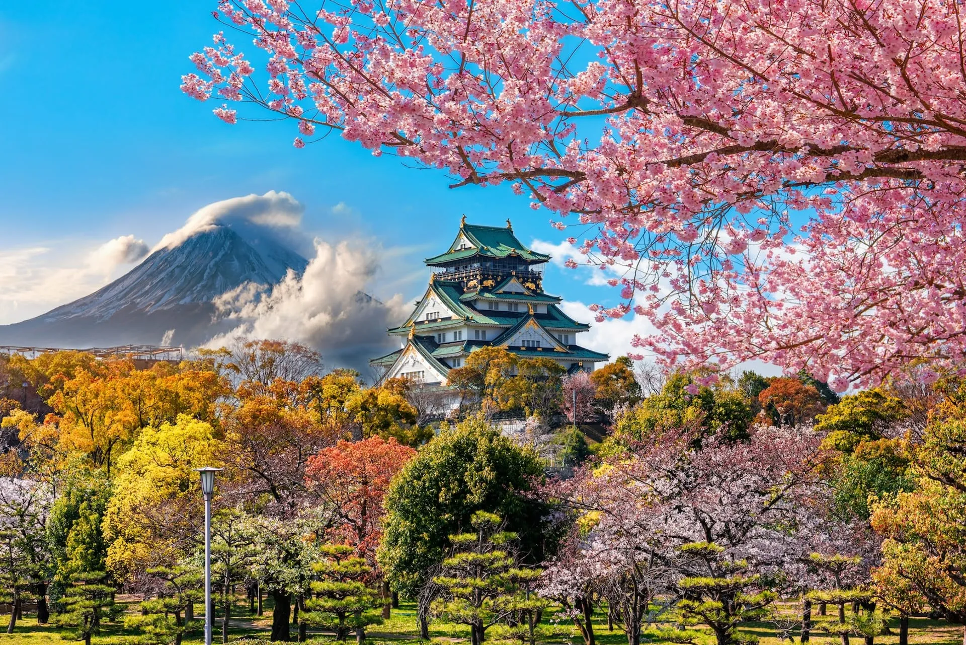 Japan travel package image 3