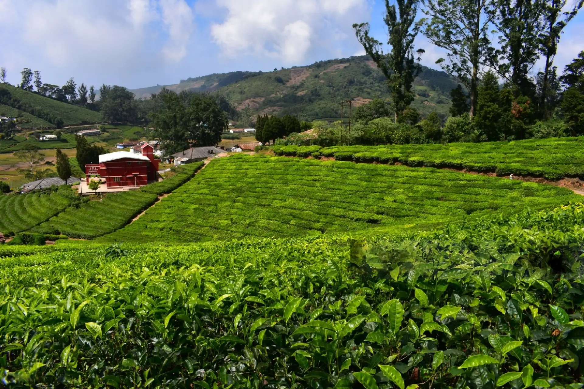 Karnataka travel highlight 5