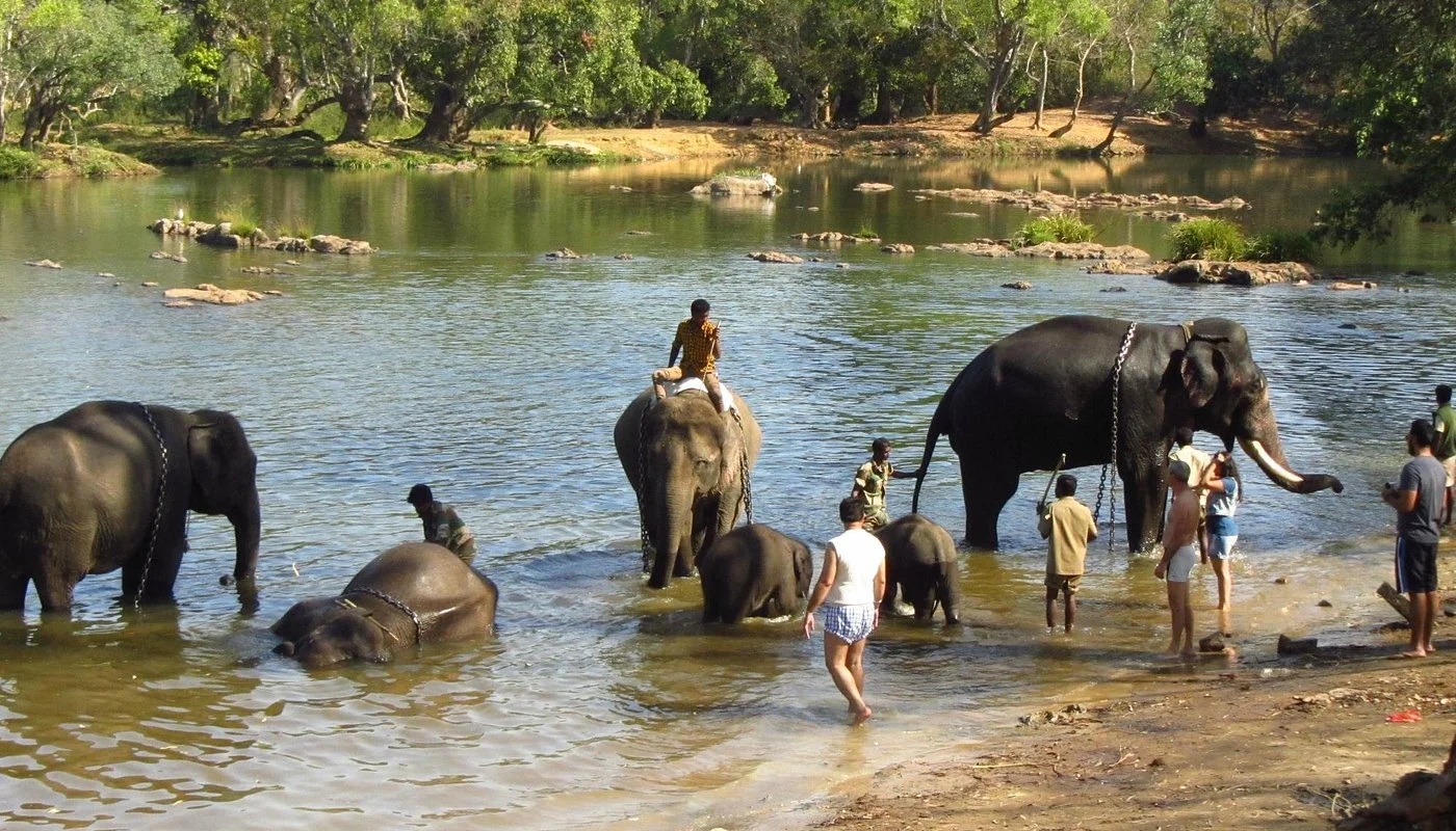 Karnataka 6N/7D tour package