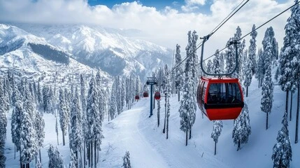 Kashmir Honeymoon travel highlight 4