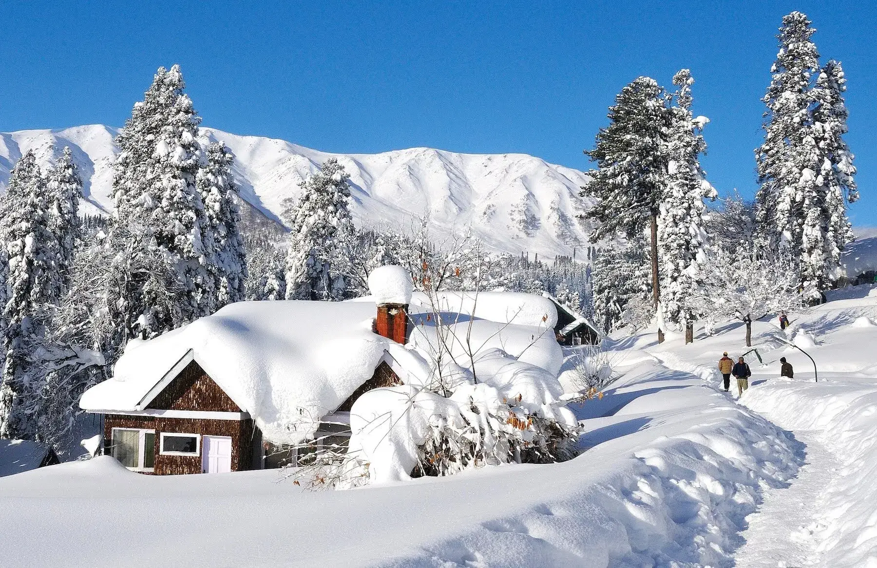 Kashmir Honeymoon travel highlight 5