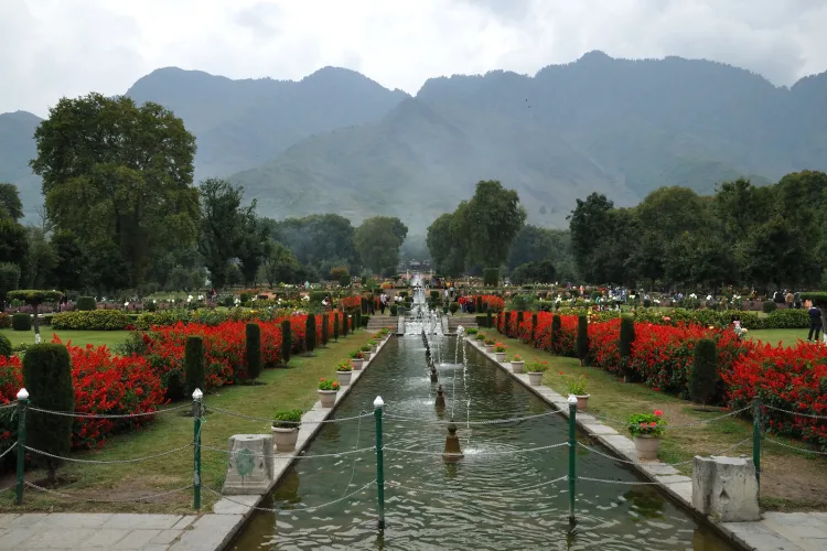 Kashmir Honeymoon travel package image 3