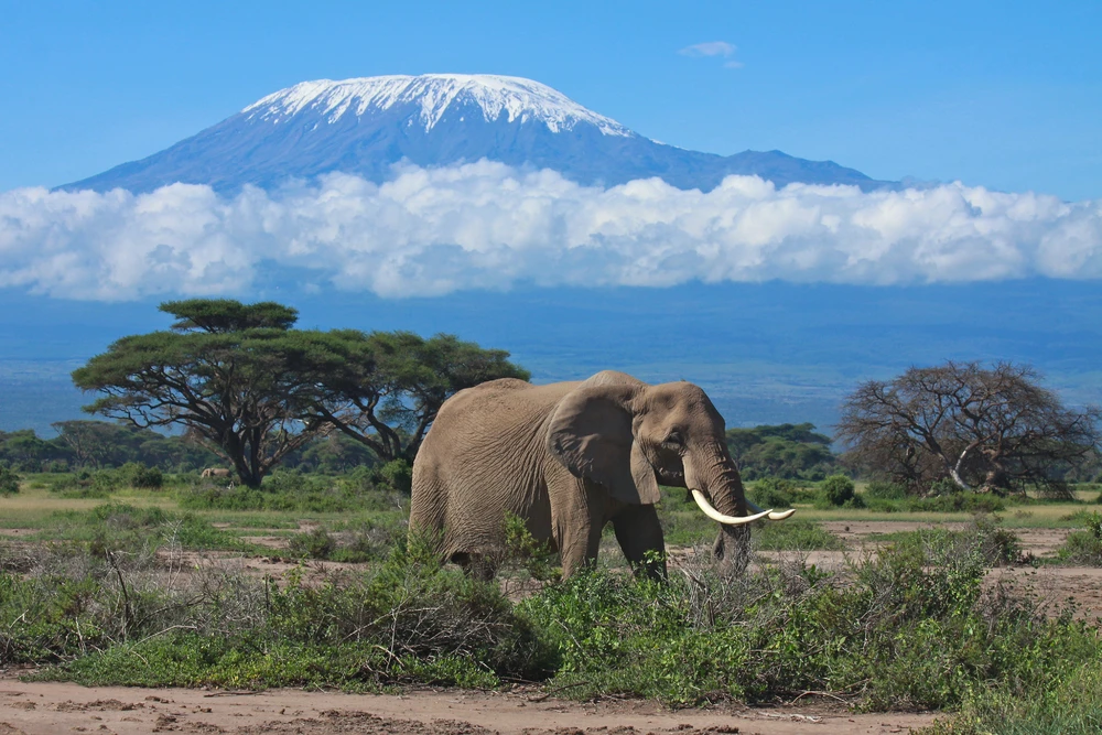Kenya travel highlight 2