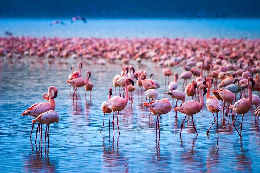 Kenya travel highlight 4