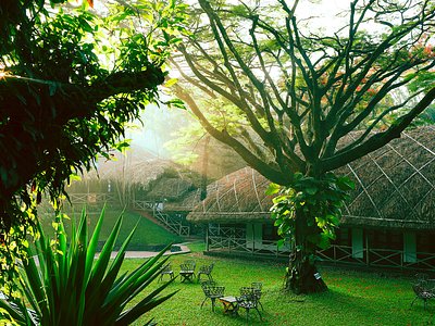 Kerala Honeymoon 5N/6D tour package itinerary