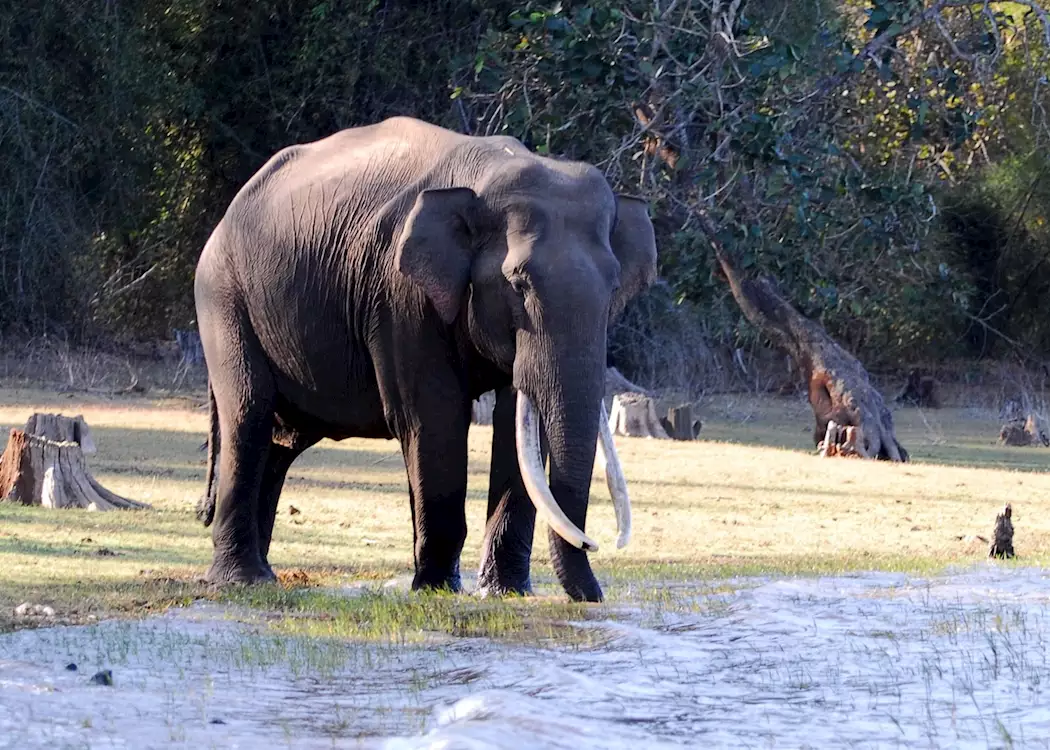 Kerala travel highlight 6
