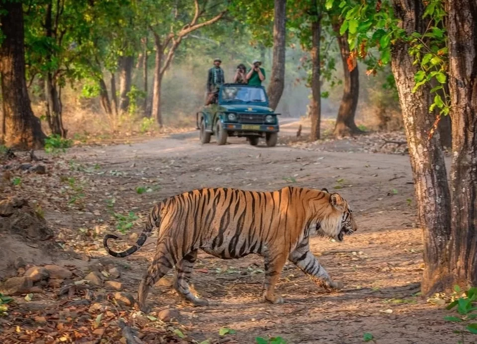 Madhya Pradesh travel highlight 1
