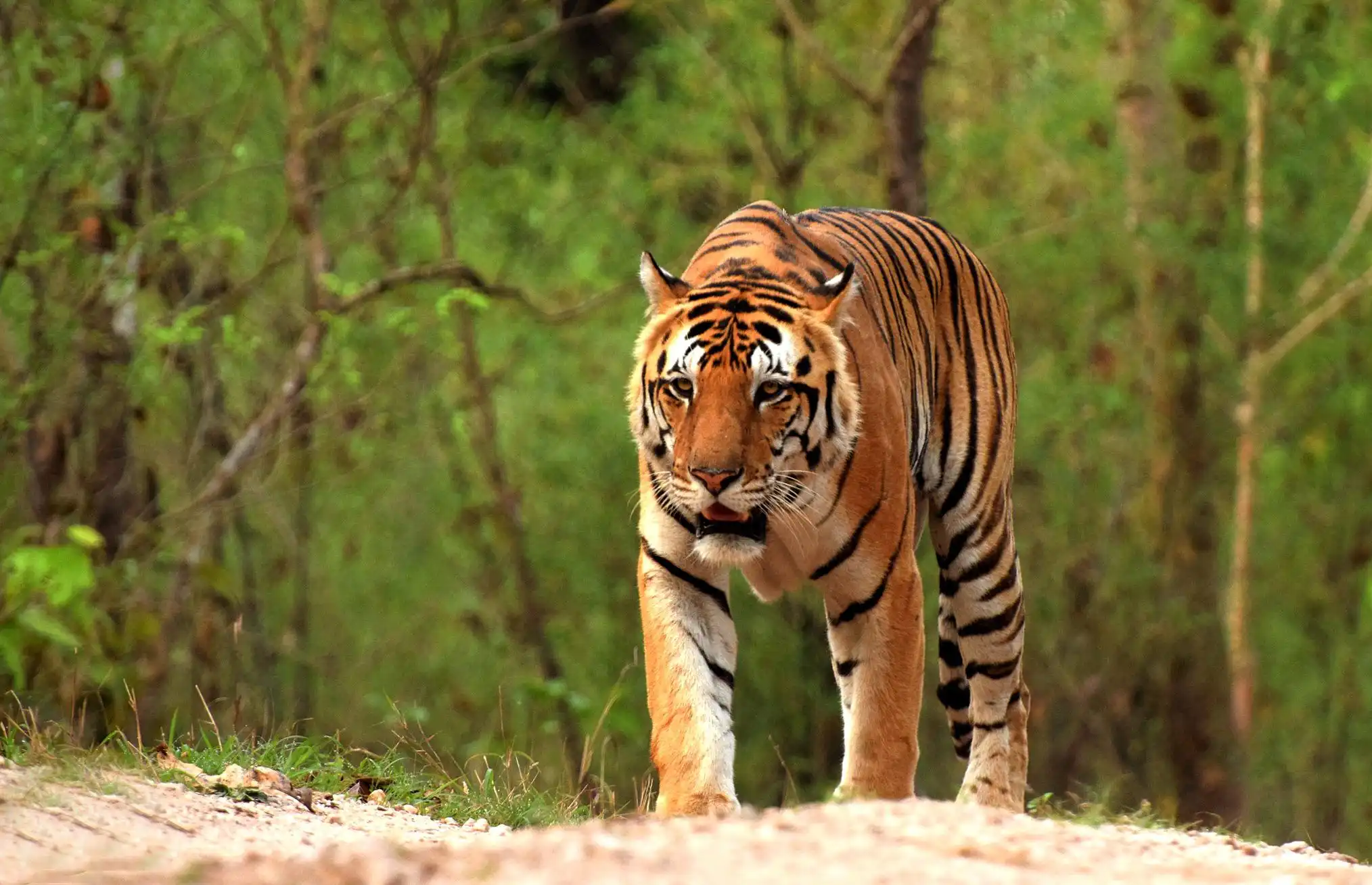 Madhya Pradesh travel highlight 2