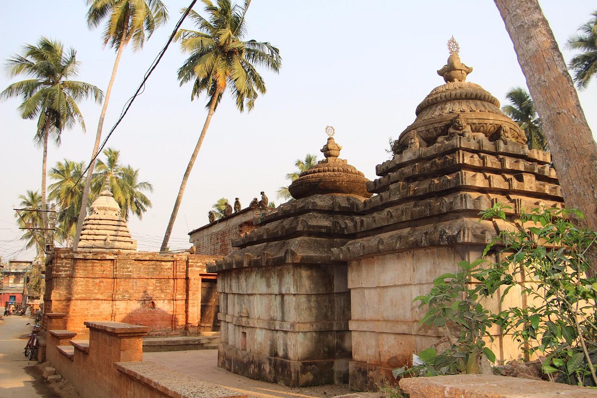 Odisha travel package image 5