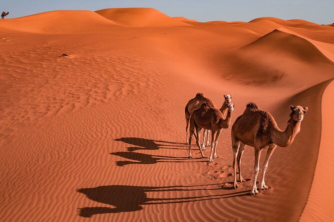 Oman 6N/7D tour package