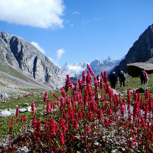 Shimla Manali Honeymoon travel highlight 3