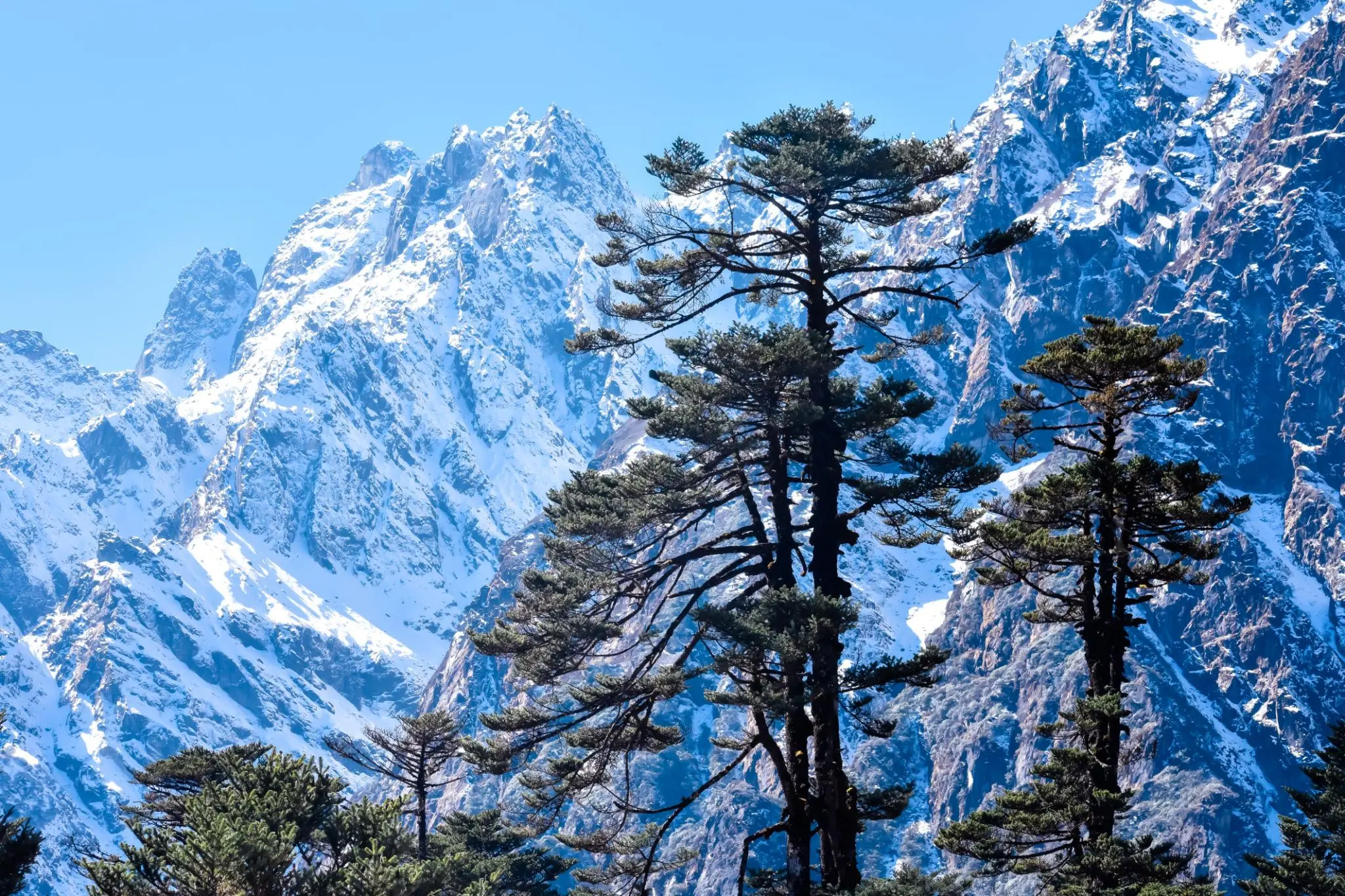 Sikkim & Darjeeling travel package image 4