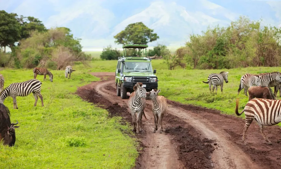 Tanzania travel highlight 2