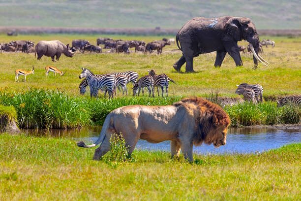 Tanzania travel highlight 5