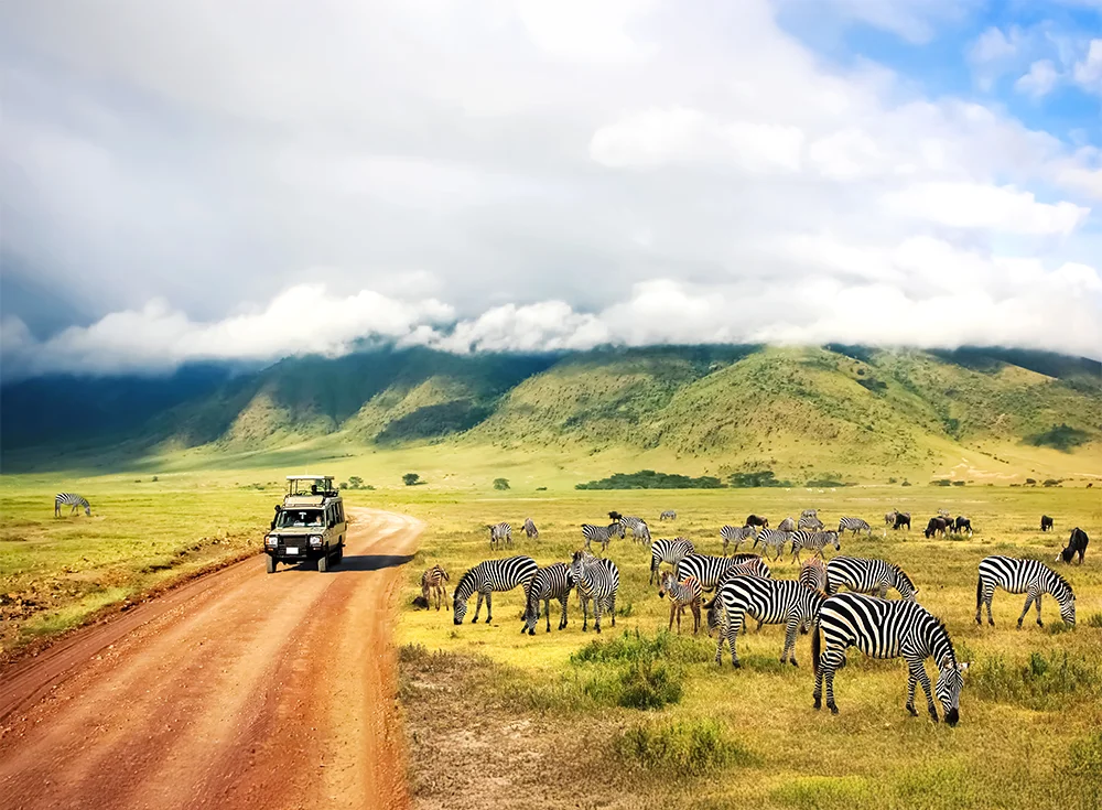 Tanzania travel package image 4
